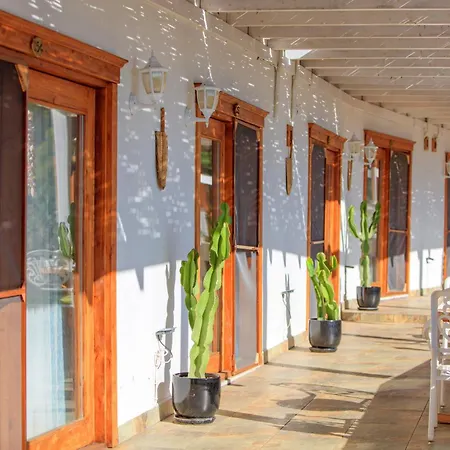 Manzara Non Alcoholic Family 3* Oludeniz